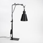 Black Free Standing Indoor Gardening Plant Grow Red & Blue Lighting Adjusted Height 15Ft Timer Cord