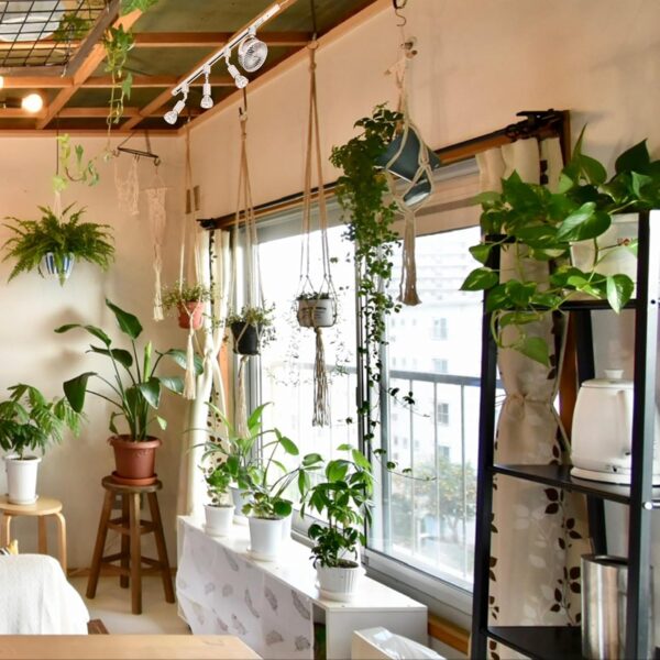 White Track Mount Mini Fan x1, Light x3, Track Rail With Timer Cord x1,  Simple For Plant Shelf Home