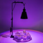 Black Free Standing Indoor Gardening Plant Grow Red & Blue Lighting Adjusted Height 15Ft Timer Cord