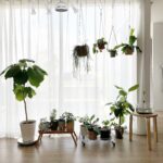 White Track Mount Mini Fan x1, Light x3, Track Rail With Timer Cord x1,  Simple For Plant Shelf Home