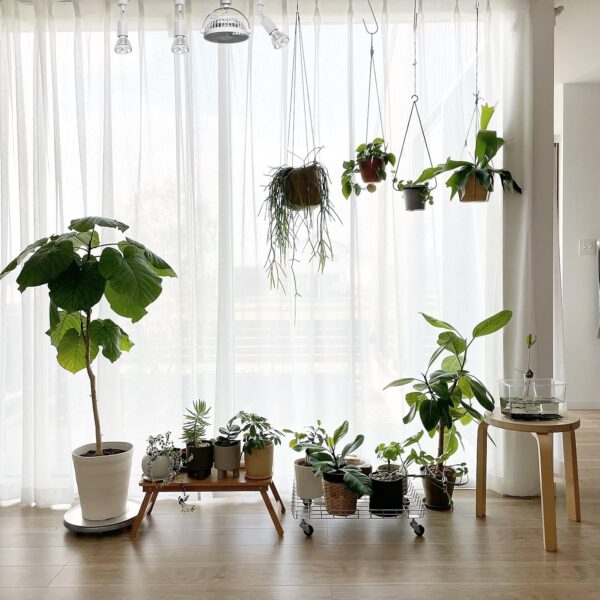 White Track Mount Mini Fan x1, Light x3, Track Rail With Timer Cord x1,  Simple For Plant Shelf Home