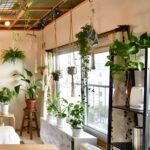 Black Track Mount Mini Fan x2, Light x2, Track Rail With Timer Cord x1, Adjustable Angle For Plant