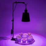 Free Standing Plant Grow Indoor Gardening Red & Blue Lighting Adjusted Height 15Ft Timer Cord Black